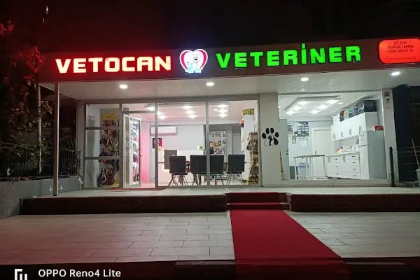 Vetocan Veteriner Kliniği - Resim 3