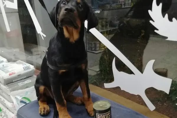 Vetocan Veteriner Kliniği - Resim 11