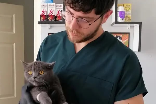 Vetocan Veteriner Kliniği - Resim 9
