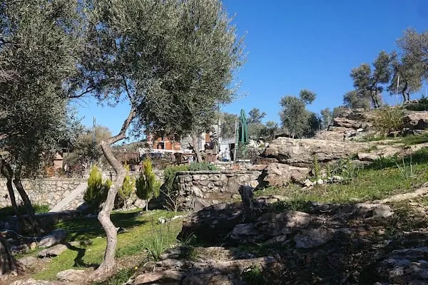 Olive Garden Retreat (Yoga/Meditation Center, Organik Dükkan) - Resim 9