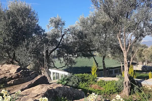 Olive Garden Retreat (Yoga/Meditation Center, Organik Dükkan) - Resim 6