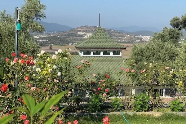 Olive Garden Retreat (Yoga/Meditation Center, Organik Dükkan) - Resim 2
