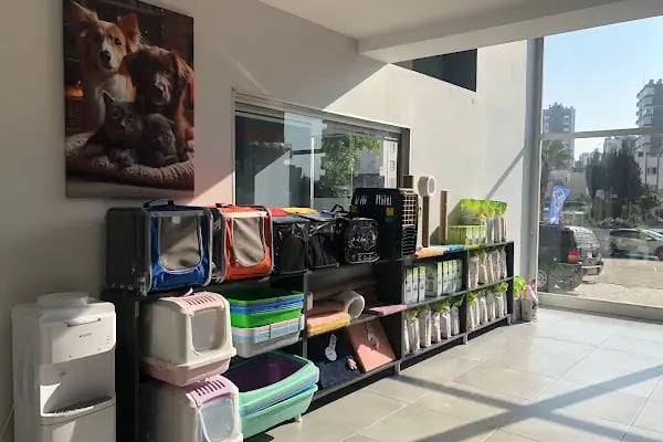 Fauna Veteriner Kliniği - Resim 18