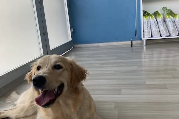 Fauna Veteriner Kliniği - Resim 9