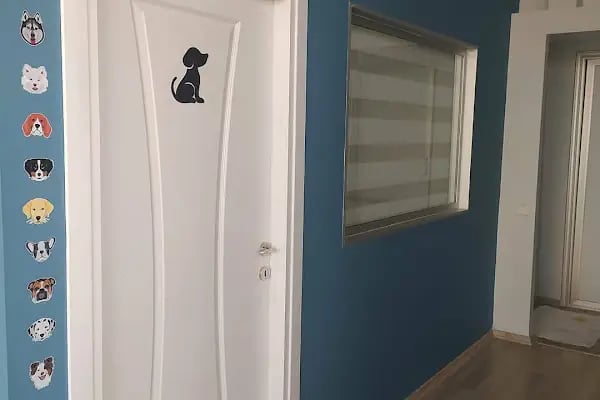 Fauna Veteriner Kliniği - Resim 6
