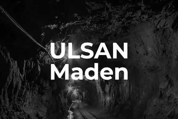 Ulsan Holding - Resim 3