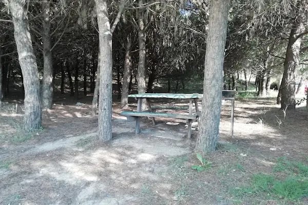 ÇERKEZKÖY GÜMRÜK MÜDÜRLÜĞÜ - Resim 14