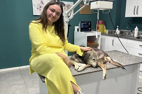 Planet Veteriner Kliniği - Resim 13