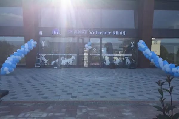 Planet Veteriner Kliniği - Resim 17