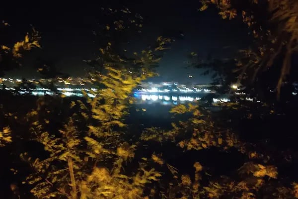 birecik fistik hali - Resim 7