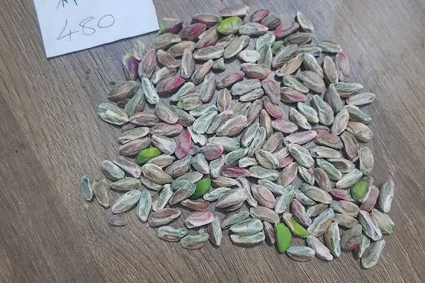 birecik fistik hali - Resim 6