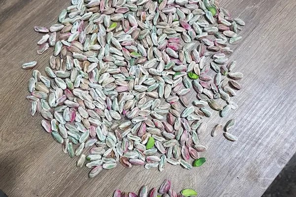 birecik fistik hali - Resim 1