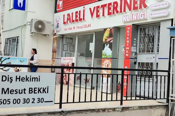 Dis Hekimi Mesut Bekki - Resim 8