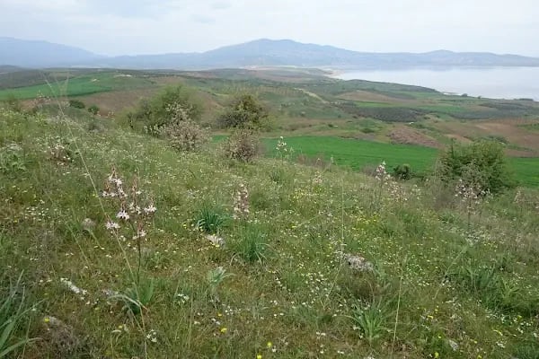 Bintepeler Lidya Tümülüsleri - Resim 17