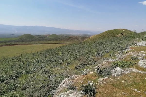Bintepeler Lidya Tümülüsleri - Resim 4