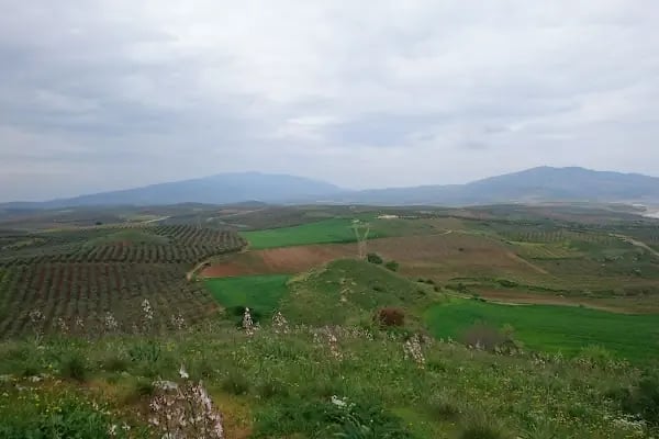 Bintepeler Lidya Tümülüsleri - Resim 2