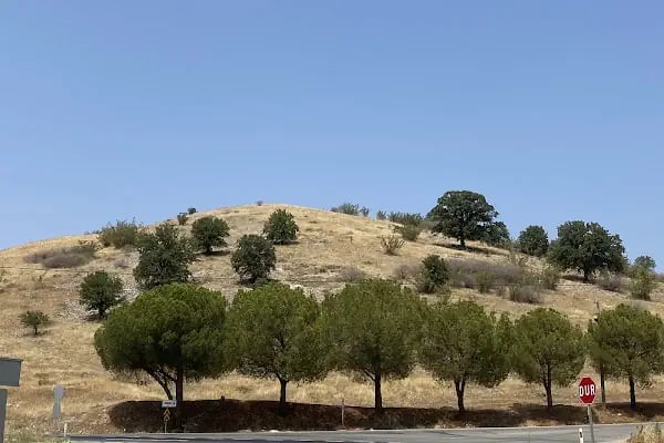Bintepeler Lidya Tümülüsleri - Resim 12