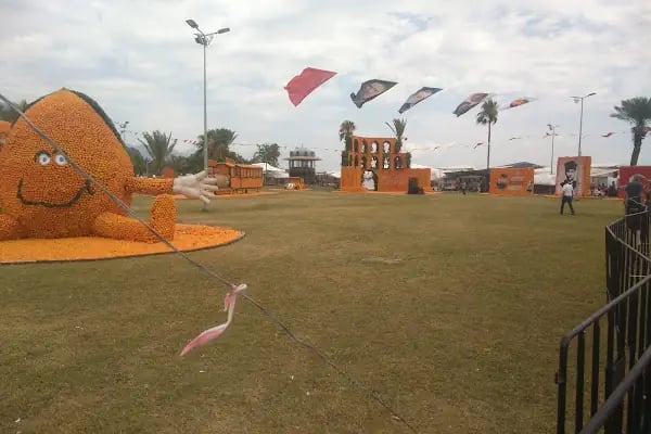 Finike Aquapark - Resim 13