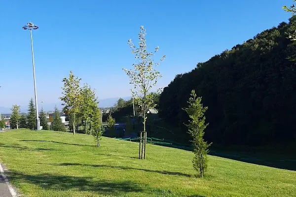 AYÇİÇEĞİ BİSİKLET VADİSİ - Resim 12