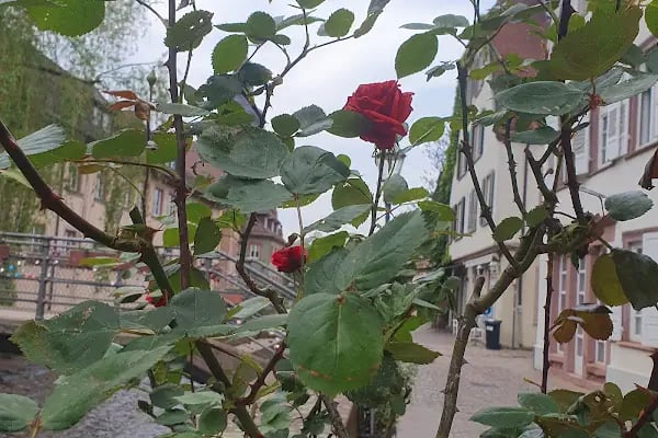 Sercan Pansiyon - Resim 6