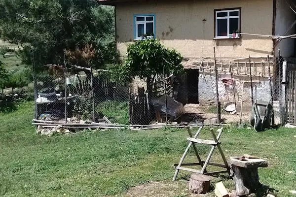 Kristal Düğün Salonu - Resim 16