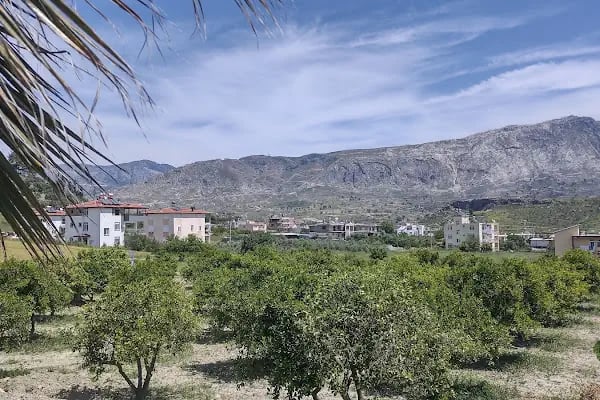 Maniola hotel - Resim 2