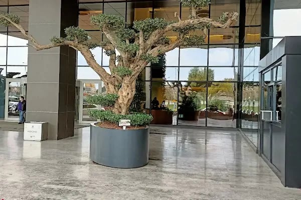 Medicana International İzmir Hastanesi - Resim 11