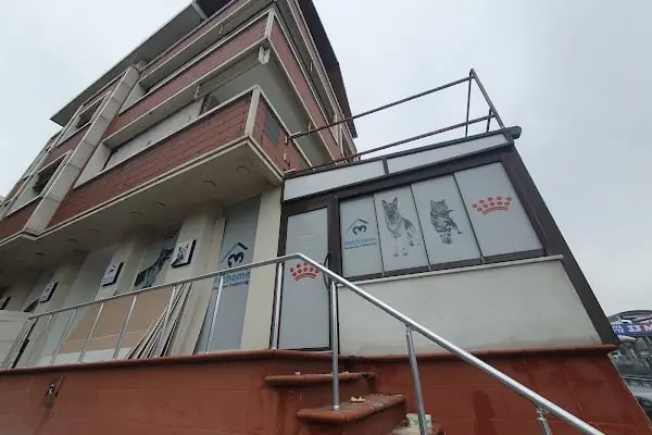 Pethome Veteriner Kliniği - Resim 9