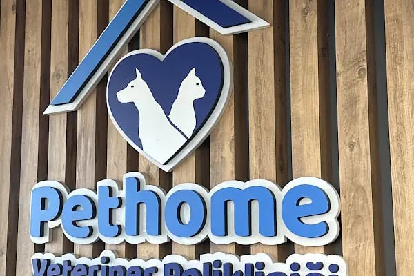Pethome Veteriner Kliniği - Resim 10