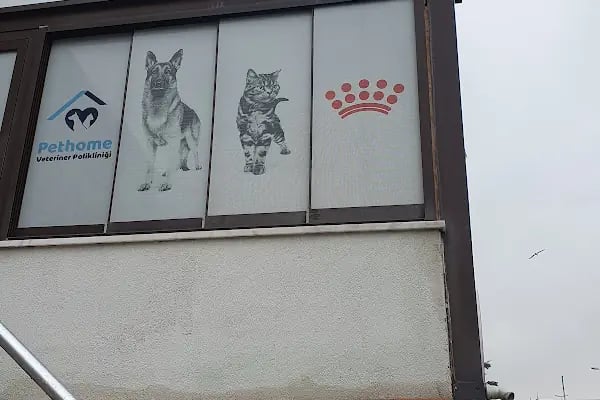 Pethome Veteriner Kliniği - Resim 19
