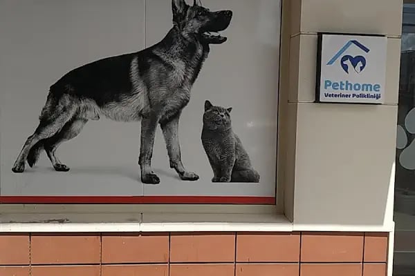 Pethome Veteriner Kliniği - Resim 15