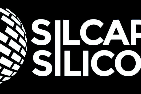 SİLCAP SİLİKON SANAYİ VE TİCARET LİMİTED ŞİRKETİ - Resim 5
