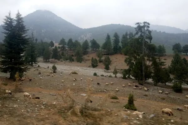 Karboğazı Kayak Merkezi Küme Evler - Resim 16