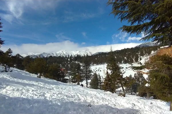 Karboğazı Kayak Merkezi Küme Evler - Resim 1
