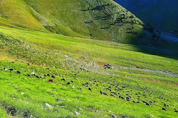 Karboğazı Kayak Merkezi Küme Evler - Resim 7