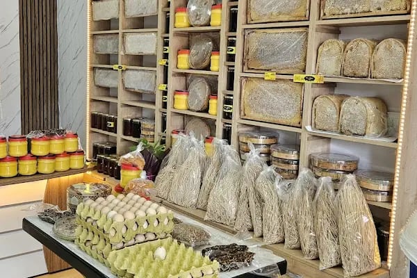 DOĞU KARS MANDIRA GÜRSU ŞUBE - Resim 7