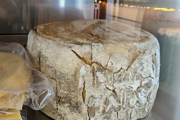 DOĞU KARS MANDIRA GÜRSU ŞUBE - Resim 6