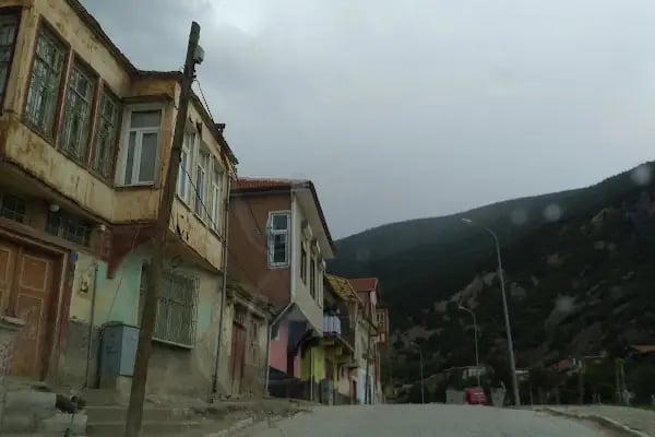 Seyyid Mahmut Türbesi - Resim 8