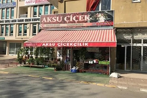 Aksu Çiçek - Resim 2
