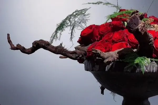 Başiskele Çicekçi - Resim 11