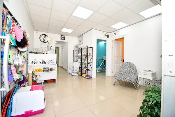 Bodrum Veteriner Kliniği - Resim 2