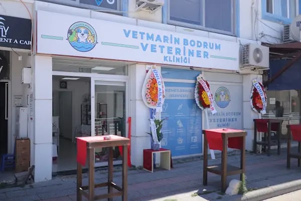 Bodrum Veteriner Kliniği - Resim 1