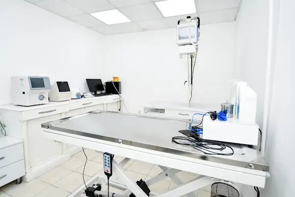 Bodrum Veteriner Kliniği - Resim 8