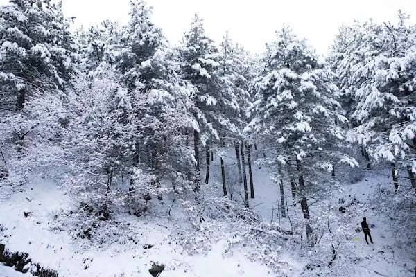 Bozdağ kayak merkezi - Resim 13