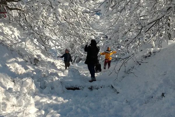 Bozdağ kayak merkezi - Resim 19