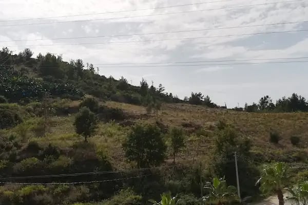 Damla Tatil Sitesi - Resim 16