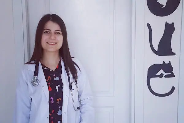 PhD Point Veteriner Kliniği - Resim 4