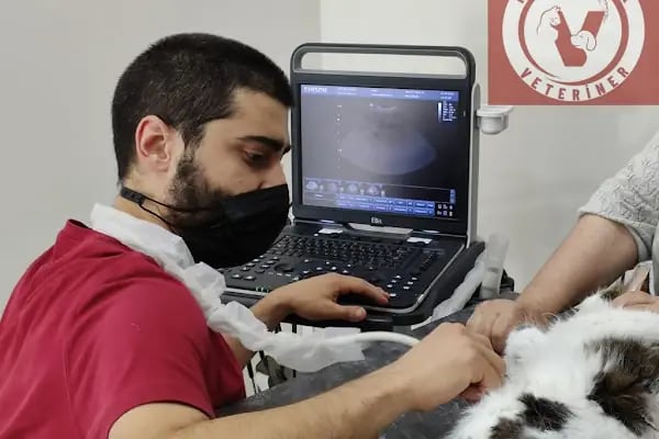 PhD Point Veteriner Kliniği - Resim 9