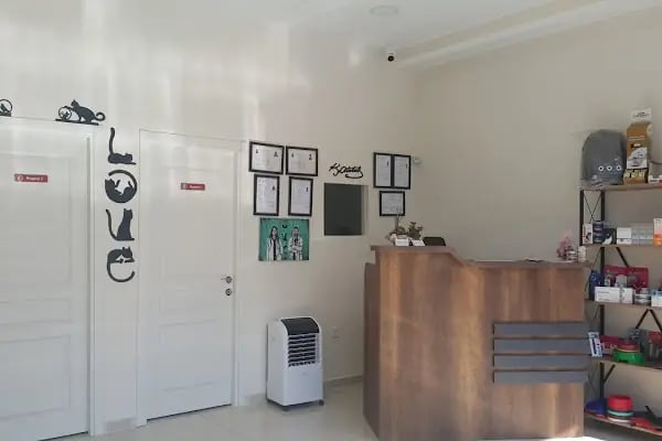PhD Point Veteriner Kliniği - Resim 3