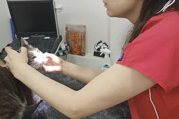 PhD Point Veteriner Kliniği - Resim 11